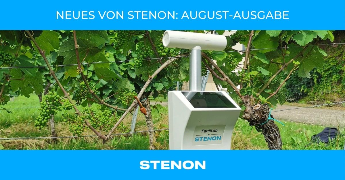 Stenon Newsletter August - FarmLab mit Reben