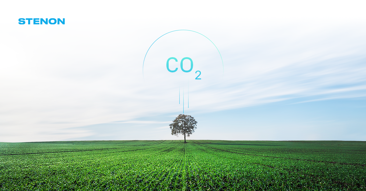 Ein Baum steht auf einer grünen Wiese, darüber steht "CO2"