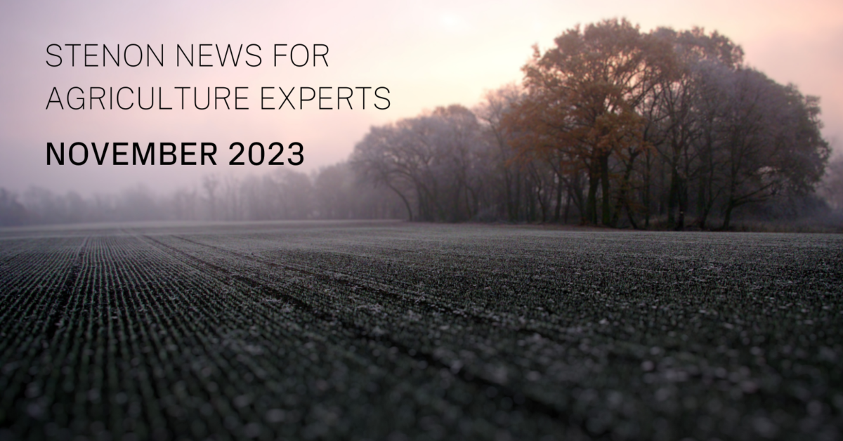 Stenon News for Agriculture Experts – November 2023
