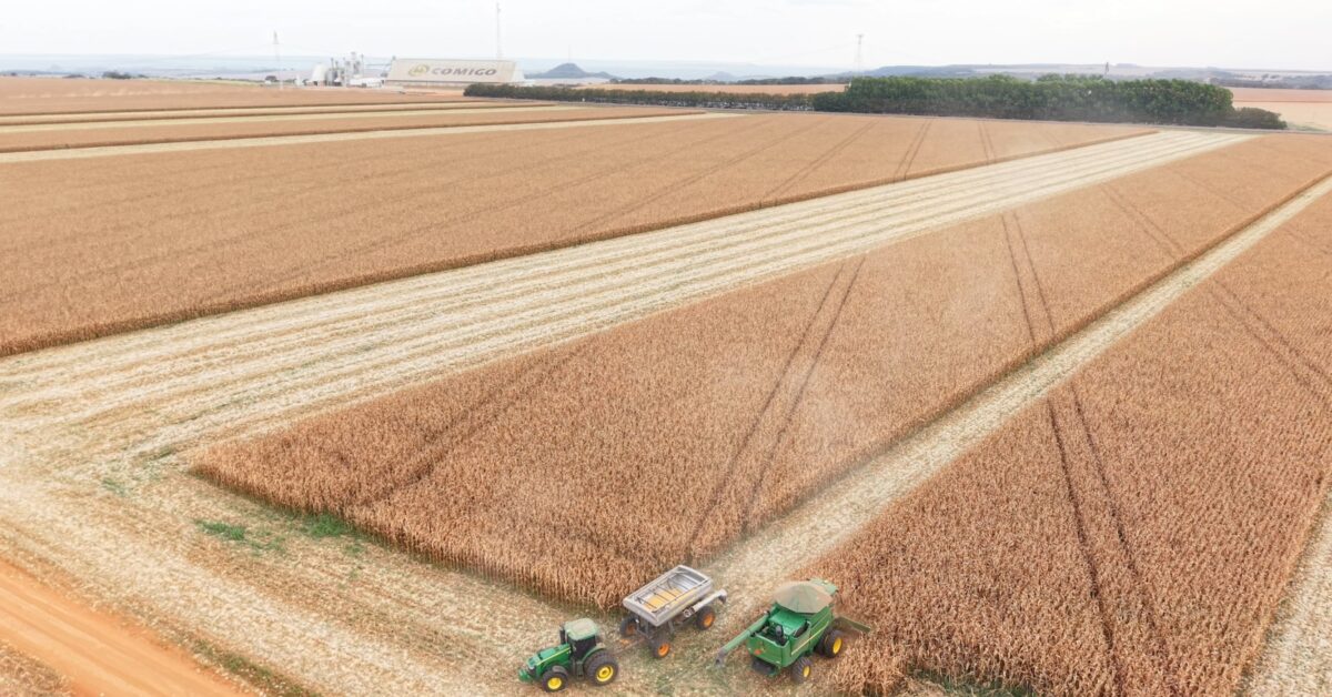 Stenon News for Agriculture Experts – July 2025