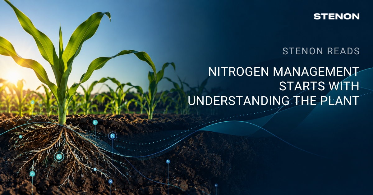 Nitrogen Management Starts with Understanding the Plant